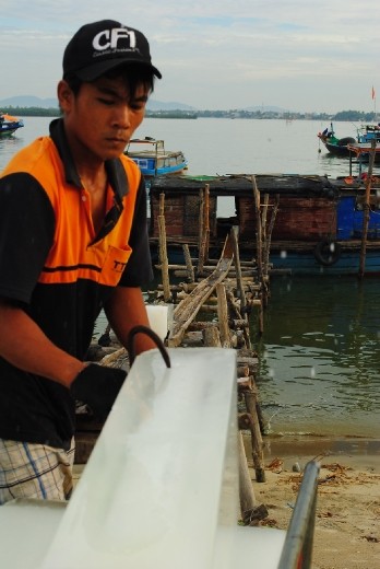 Loading ice onto fishing boat