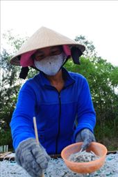 by chicagoguy, Views[199]