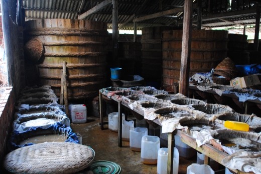 Factory making fish sauce