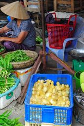 Baby chicks for sale at the market: by chicagoguy, Views[252]