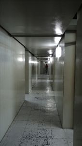 by chicagoguy, Views[202]