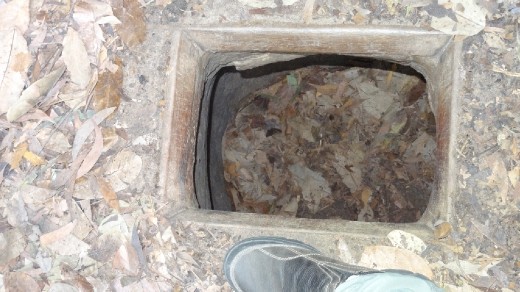 Check out my shoe (size 10.5) below the entrance