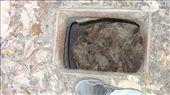 Check out my shoe (size 10.5) below the entrance: by chicagoguy, Views[305]