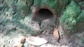 Air hole for tunnels (up close): by chicagoguy, Views[276]