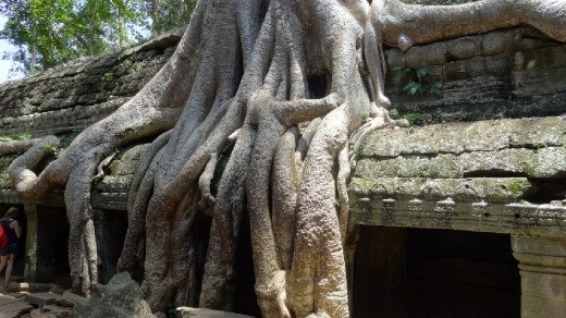 Ta Prohm, the 