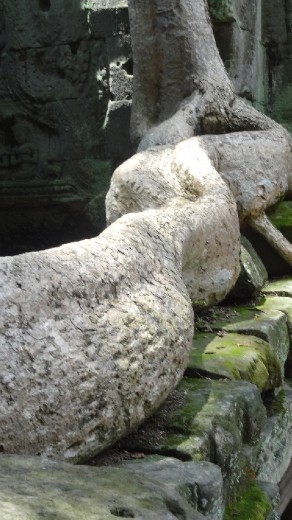 I wonder why the tour guides call this 