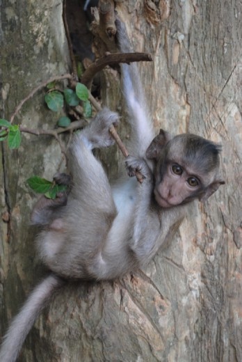 ..and those babies are adorable