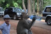 Monkey stealing water and drinking it...4: by chicagoguy, Views[217]