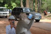 Monkey stealing water and drinking it...5: by chicagoguy, Views[214]