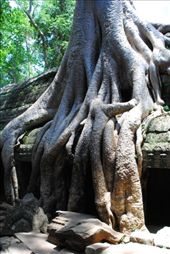 by chicagoguy, Views[174]