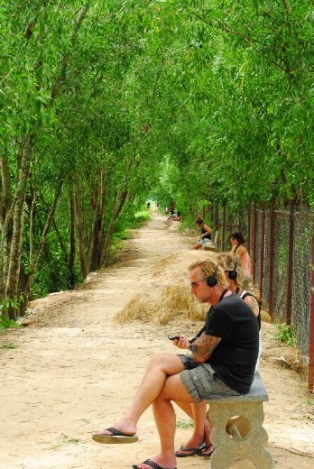 Visitors contemplating what went on at this location (audio guide) (Killing Fields)