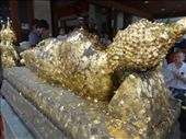 People buy gold leaf and press it against the Buddha.: by chicagoguy, Views[355]