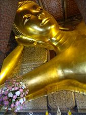 50' tall: by chicagoguy, Views[212]