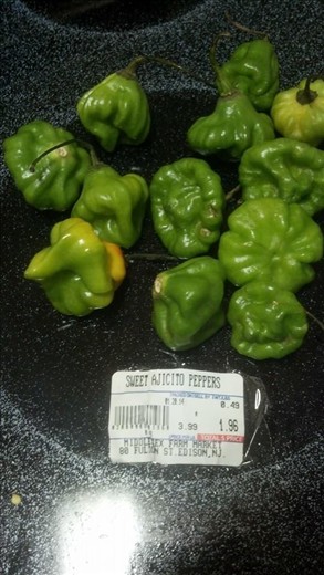 Ajicito peppers
