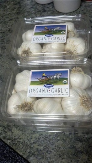 Garlic