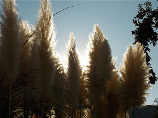 Aristotle University, 13 43 pm