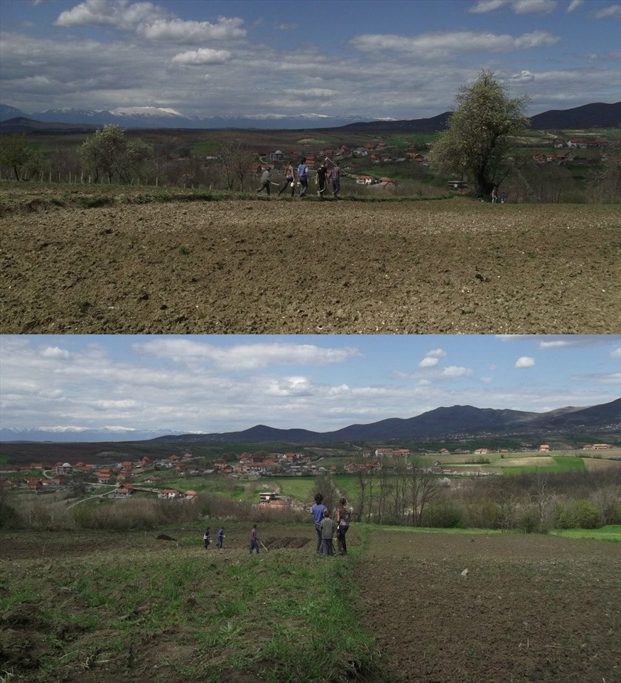 Children's in the field using hoe.
