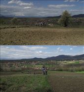 Children's in the field using hoe.: by child, Views[216]