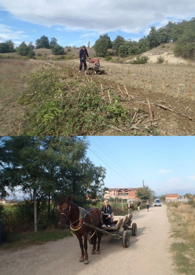 A girl riding horse in her village and the boy using tractor to...