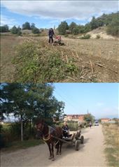 A girl riding horse in her village and the boy using tractor to...: by child, Views[291]