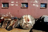 Animal skins in Mai Mai; a traditional Zulu market for the dancers in the city: by child_of_africa, Views[648]
