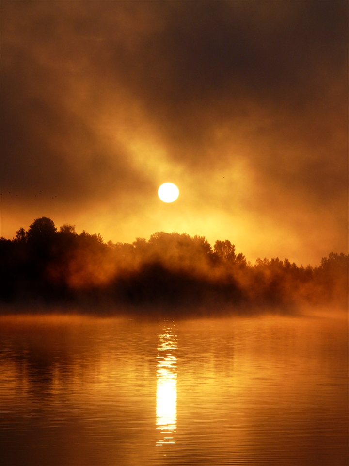 ... and the most precious morning 