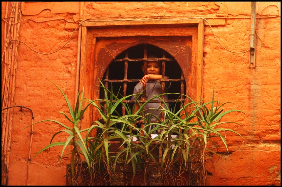 In to the moroccan souks, a little watcher