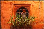 In to the moroccan souks, a little watcher: by childrenofalessergod, Views[384]