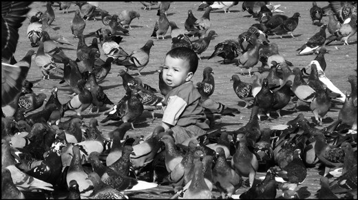 Baby in morroco's square playing with pigeons
