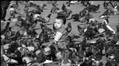 Baby in morroco's square playing with pigeons: by childrenofalessergod, Views[430]