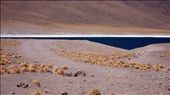 Laguna Meñiques (Chile): by chilejourney, Views[322]