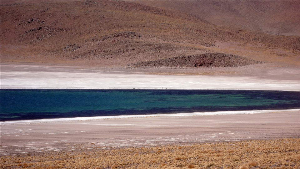 Laguna Miscanti (Chile)