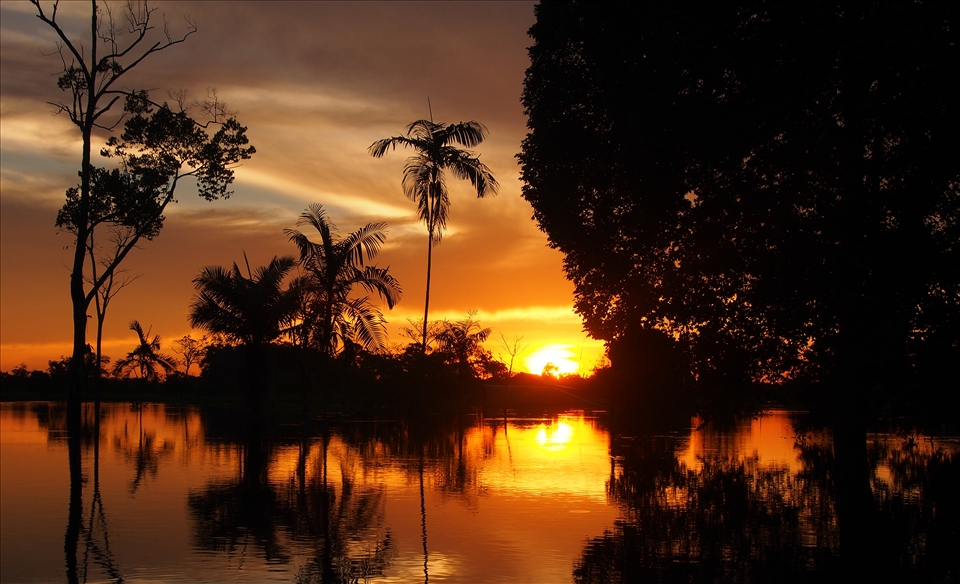 A silhouetted gorgeous sunset whilst paddling down the Brazillian Amazon river