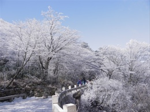 Winter Wonderland in Huang Shan. On of China's five great mountains.