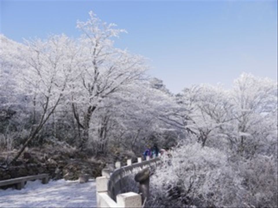 Winter Wonderland in Huang Shan. On of China's five great mountains.