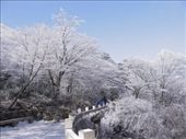 Winter Wonderland in Huang Shan. On of China's five great mountains.: by chinaexplored, Views[266]