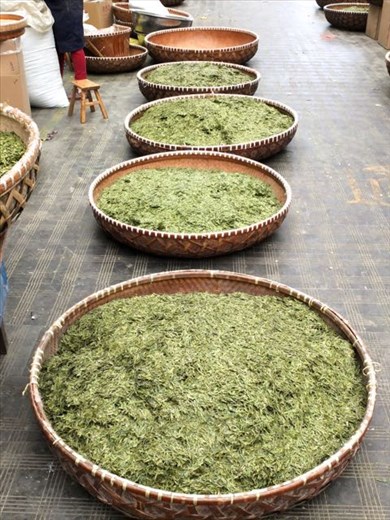 Large baskets of Longjian Tea