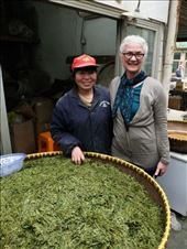 by chinaho, Views[313]