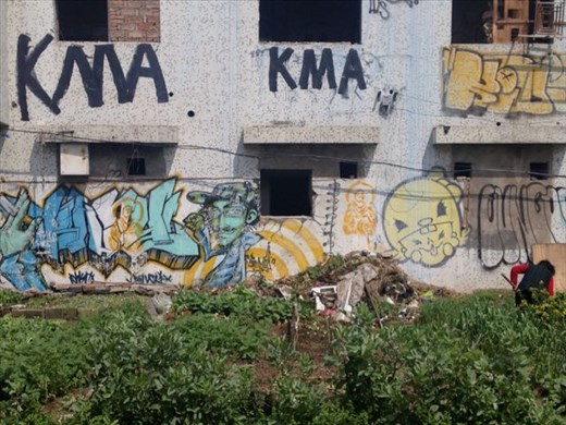 Graffiti on an abandoned building with a vegetable garden in the yard