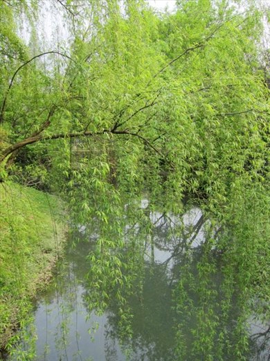 every view a possibility