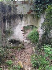 finding the way: by chinaho, Views[346]