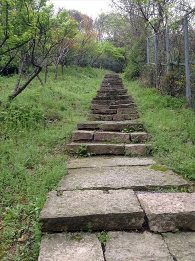 go where the path leads