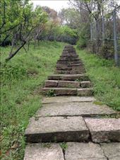 go where the path leads: by chinaho, Views[381]