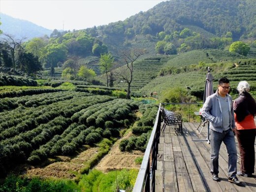 view from deck of studio