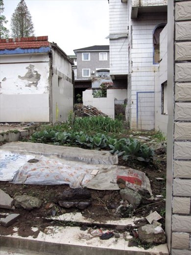 every inch, a garden