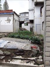 every inch, a garden: by chinaho, Views[183]