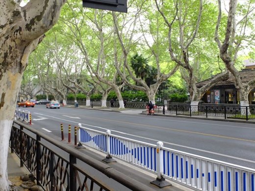 Road Around the Lake