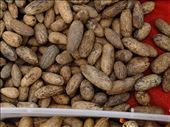 Targa nuts au naturelle: by chinaho, Views[336]