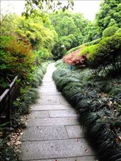 the path beckons: by chinaho, Views[165]