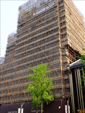 steel & bamboo & Louis Vuitton: by chinaho, Views[172]